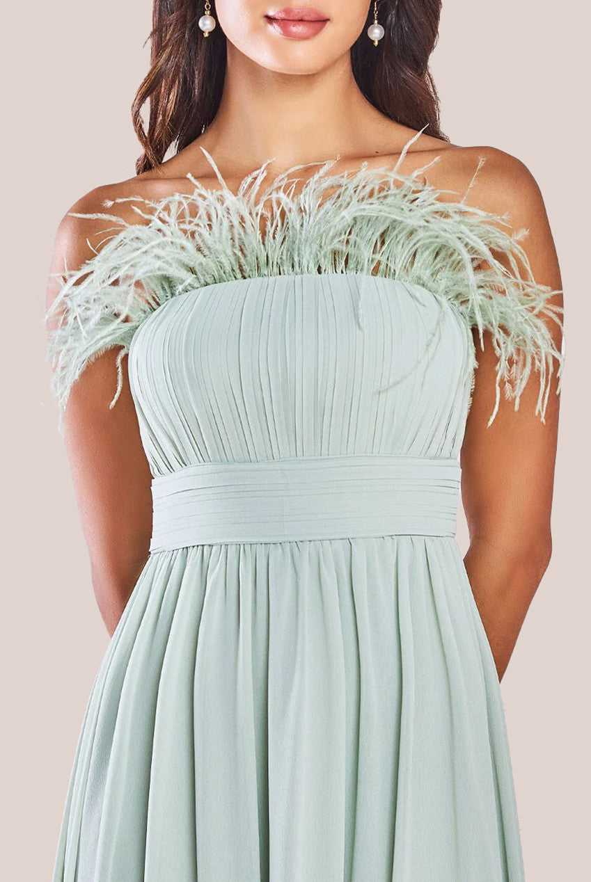 Chiffon Feather Bandeau Maxi Dress