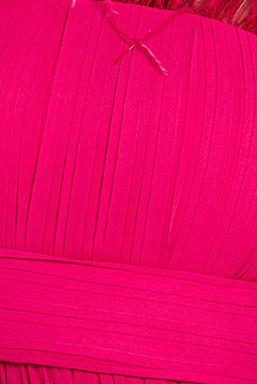 Chiffon Feather Bandeau Maxi Dress