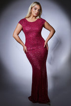 Open Back Cowl Patterned Sequin Maxi Dress