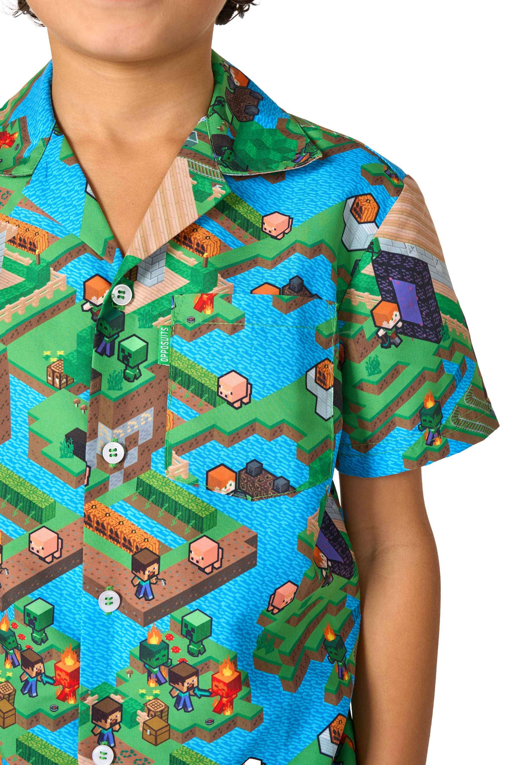 Minecraft™ - Overworld