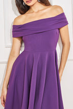 Bardot Pleated Skater Mini Dress