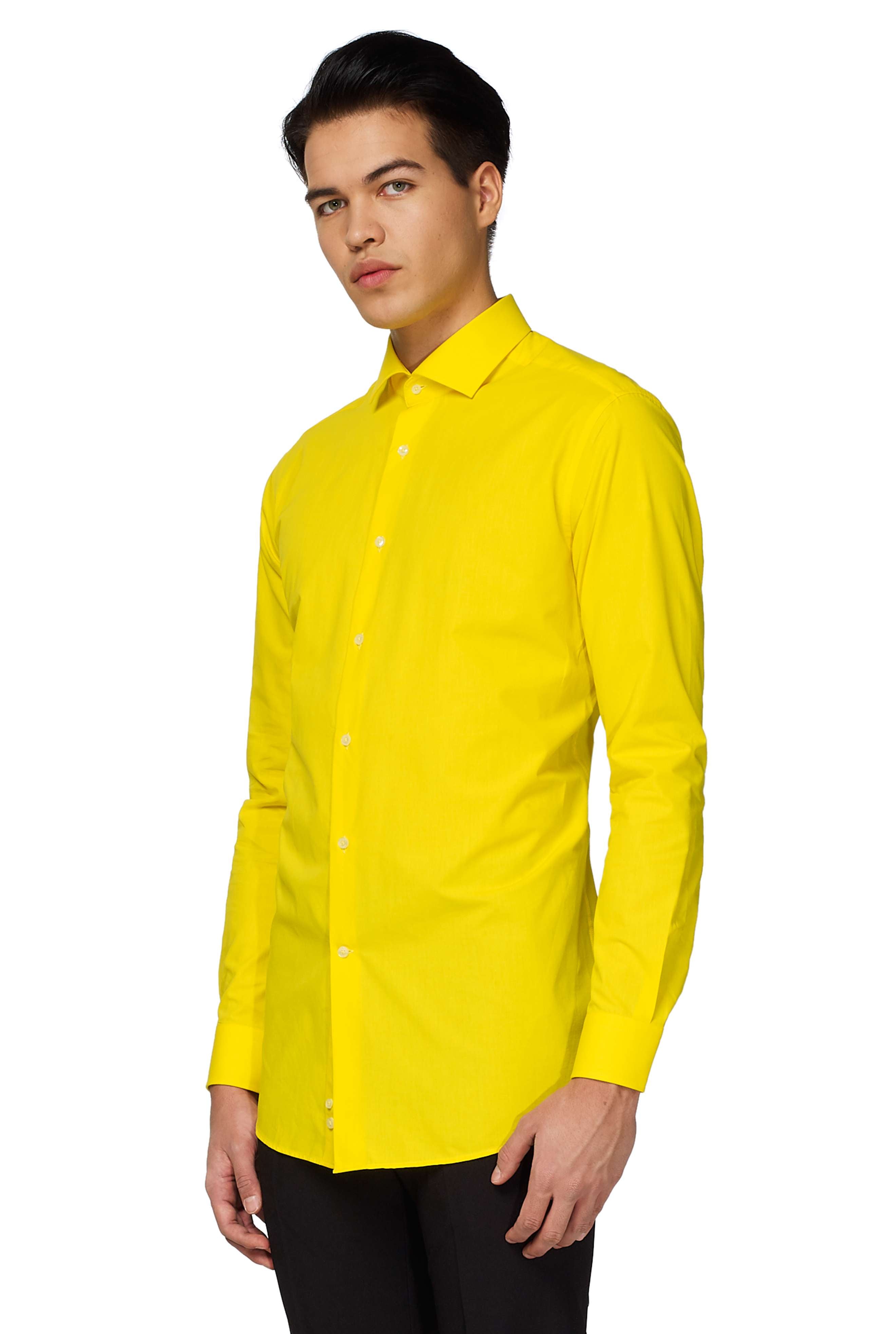 Yellow Fellow