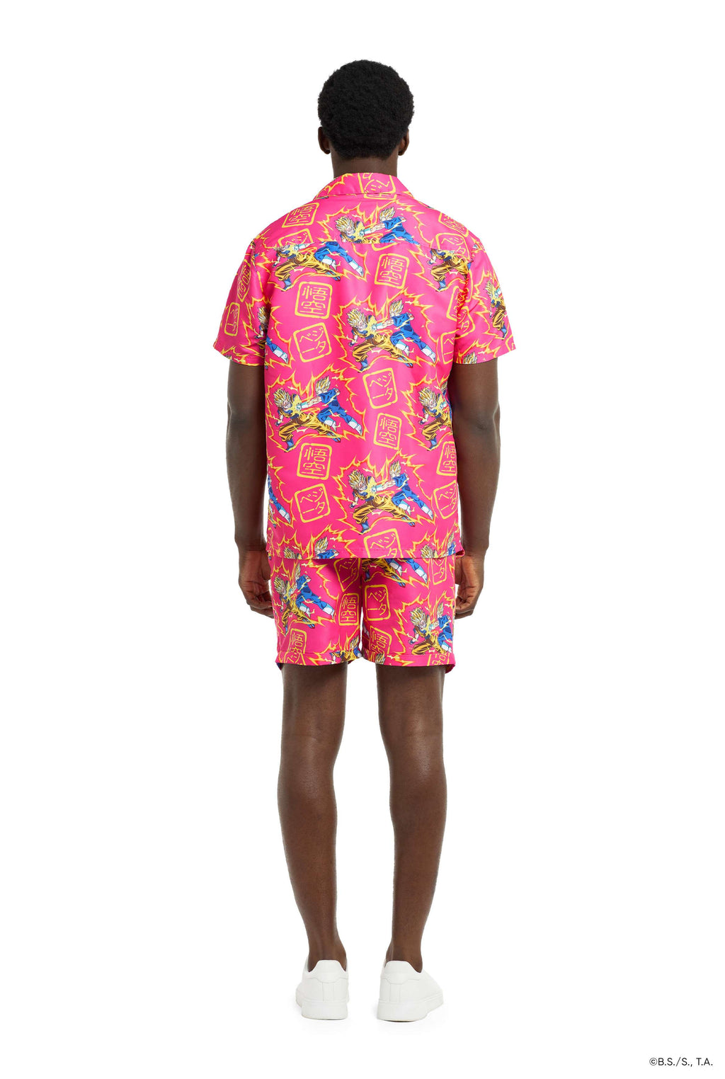 Dragon Ball Z - Goku vs Vegeta