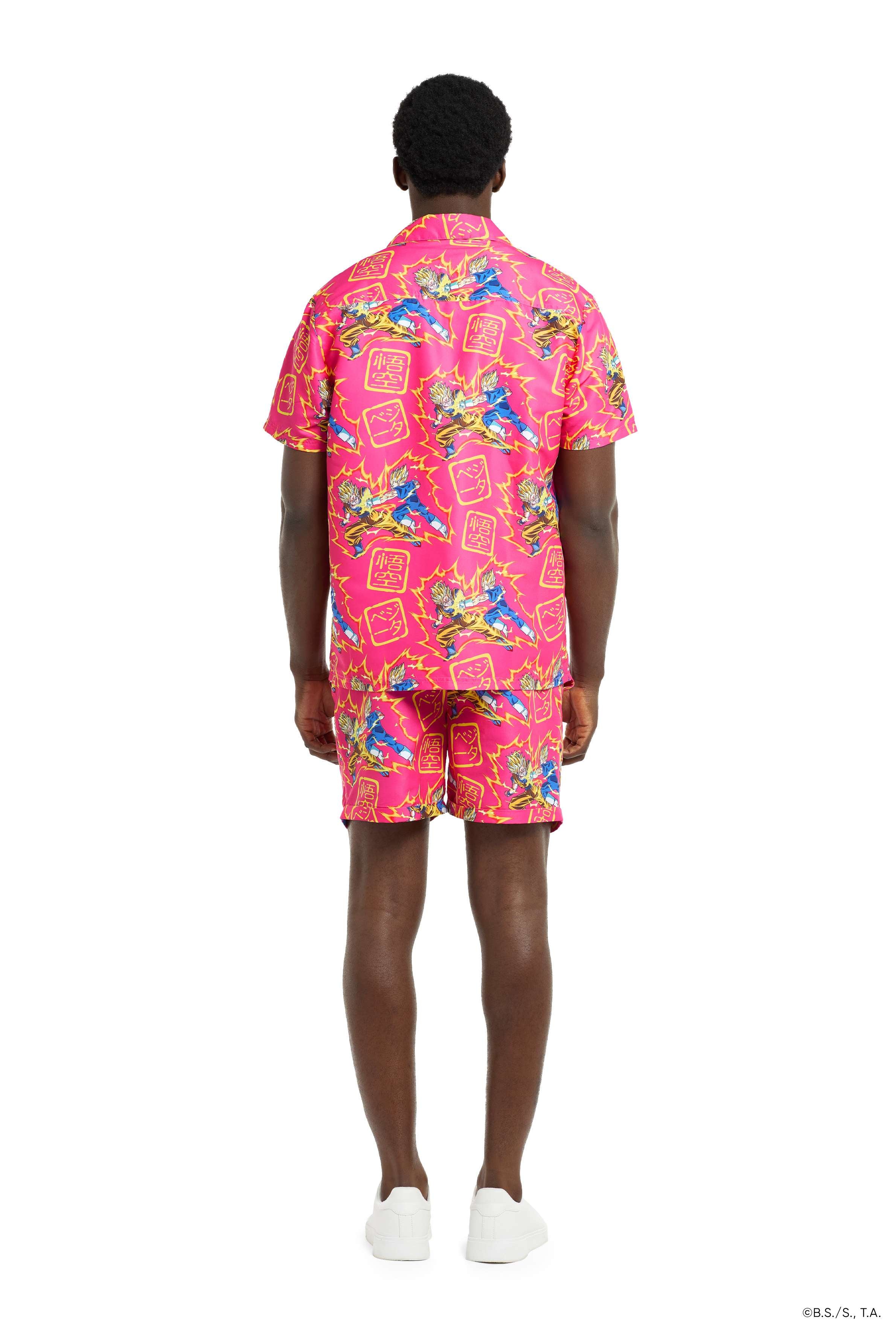 Dragon Ball Z - Goku vs Vegeta